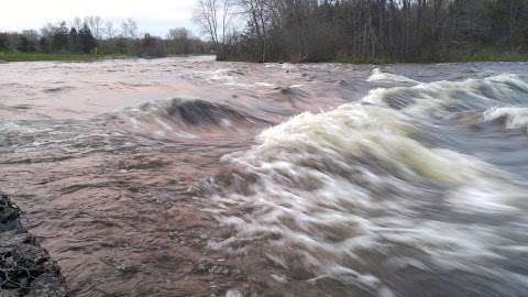 Kingsford Conservation Area